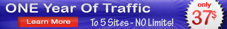 One Year Traffic to 5 Sites only $ 37!